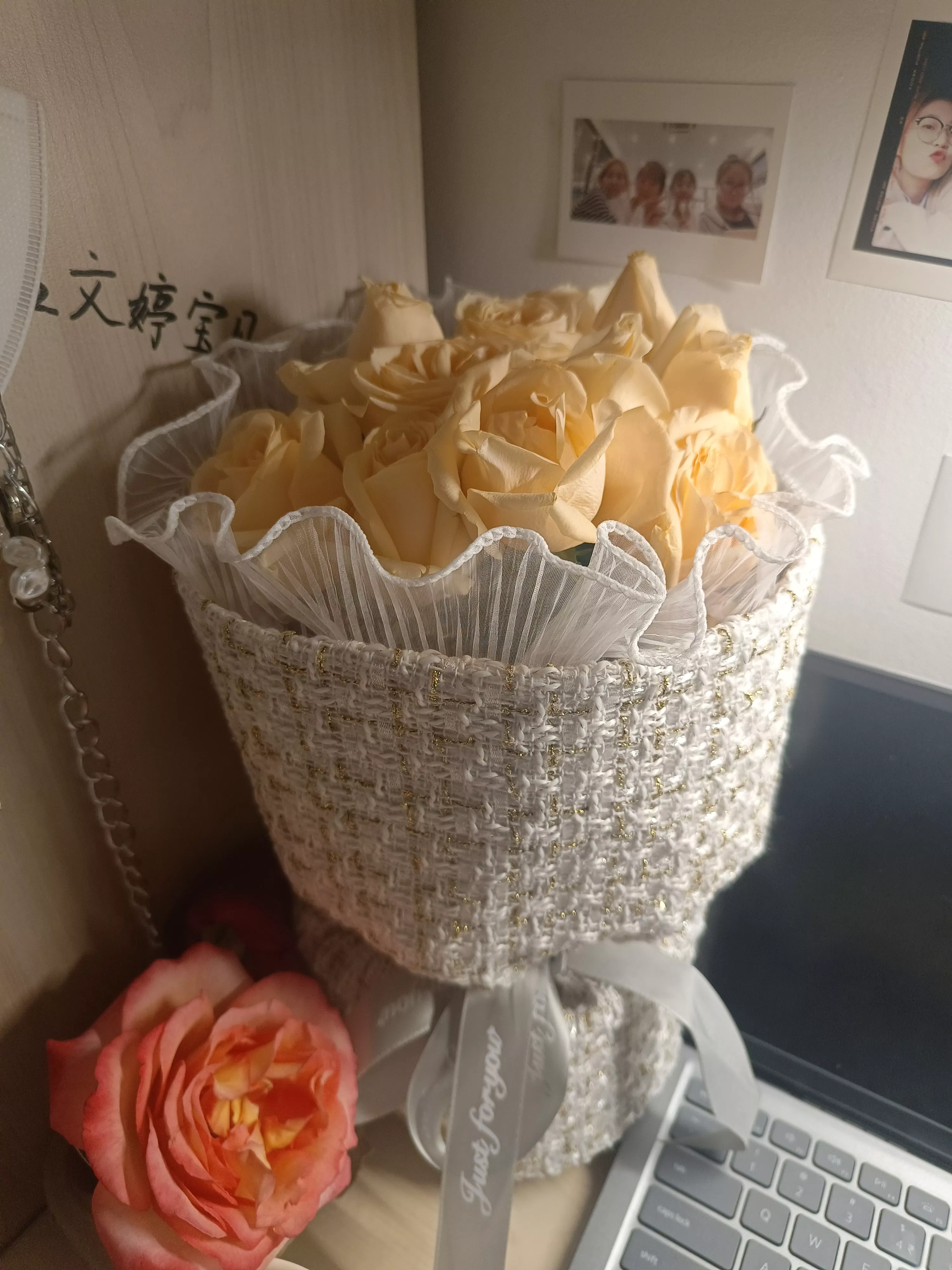 香槟玫瑰
